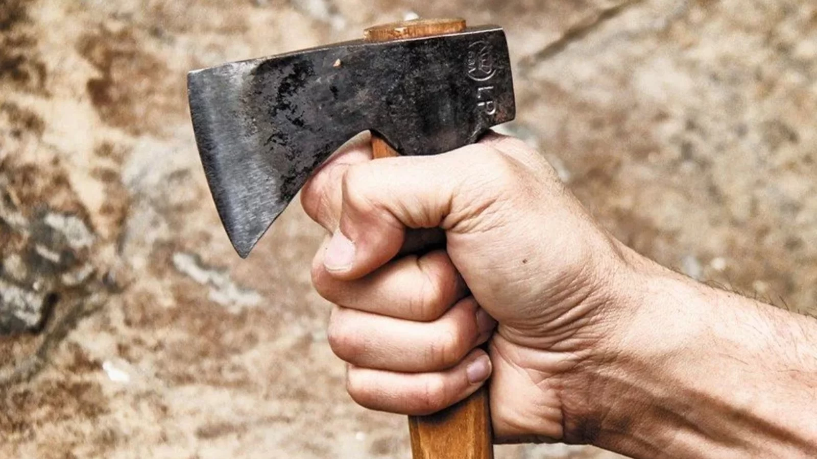 Anasını balta ilə öldürən şəxslə bağlı YENİ FAKTLAR