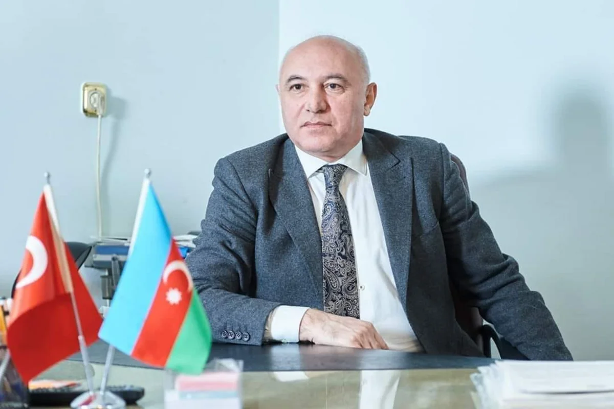 Arzuxan Əlizadə Ombudsman aparatından danışdı: "Müraciətlər get-gedə artır"